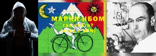 мет Алексин