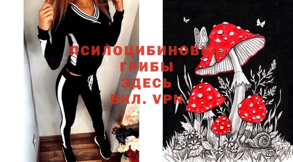 Альфа ПВП Алзамай