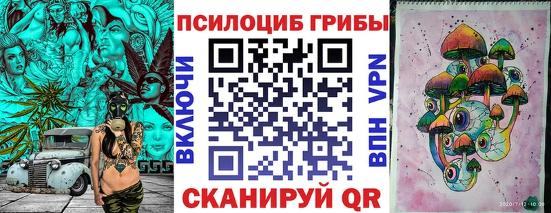 Псилоцибиновые грибы Psilocybe хочу наркоту Заводоуковск